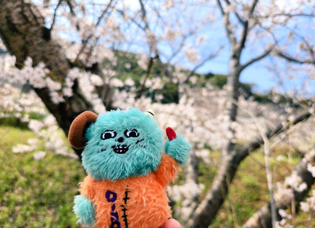 ぱっそ tweet media