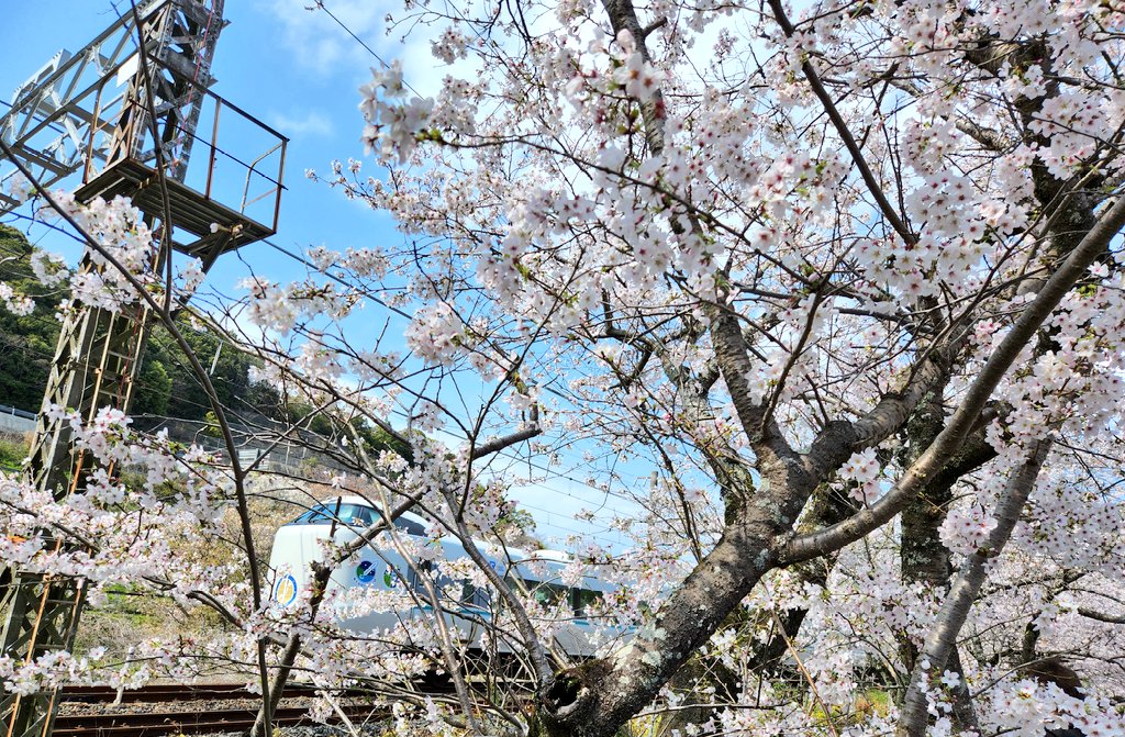 ぱっそ tweet media