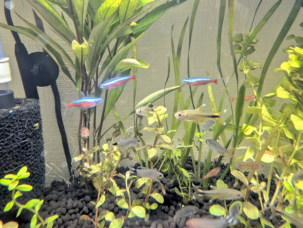 やすおか tweet media