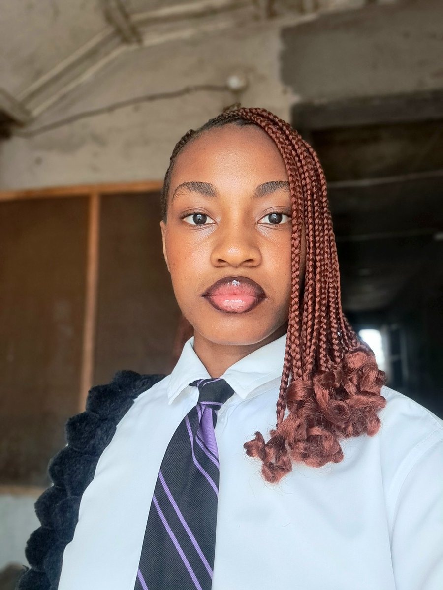 Bluey's Hub 🤍🌸 tweet media