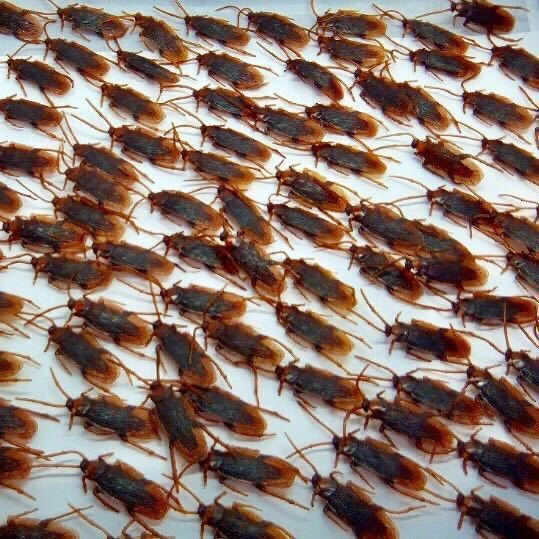 Imtiaz Mahmood tweet media