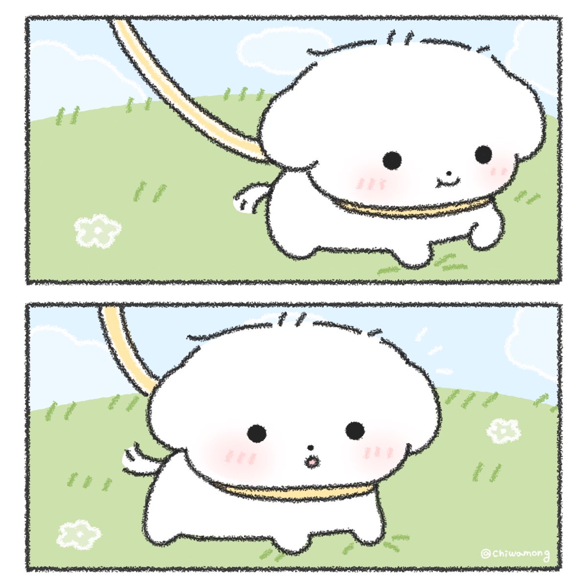 치와몽 tweet media