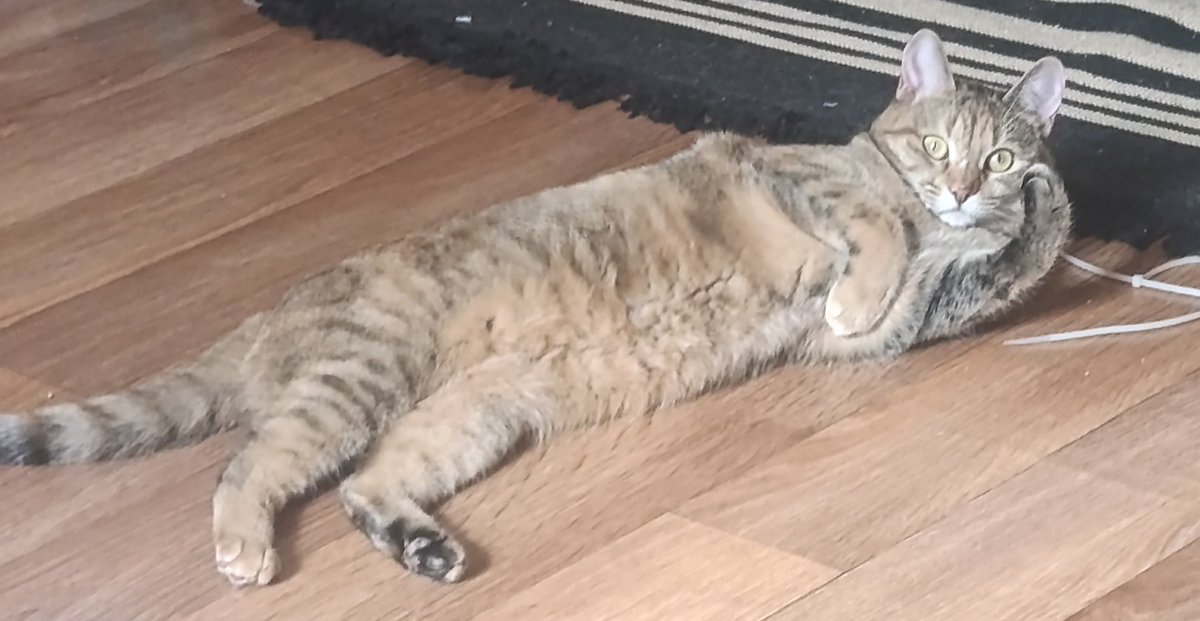 mokriakov's tweet photo. https://t.co/05WesV1YNv