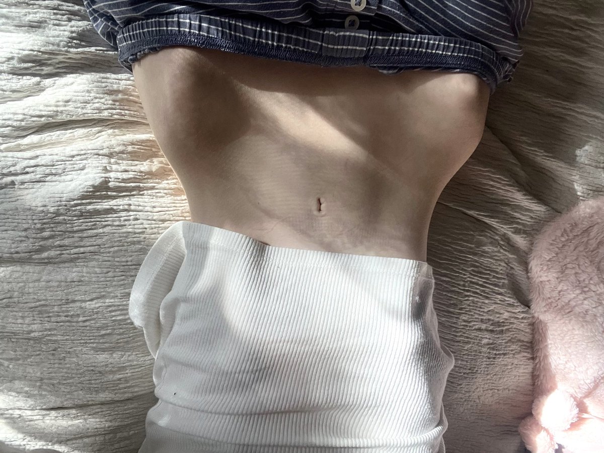 𝒜𝓁𝒷𝒾 🪽 tweet media