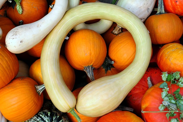 Isabel Skiles tweet media