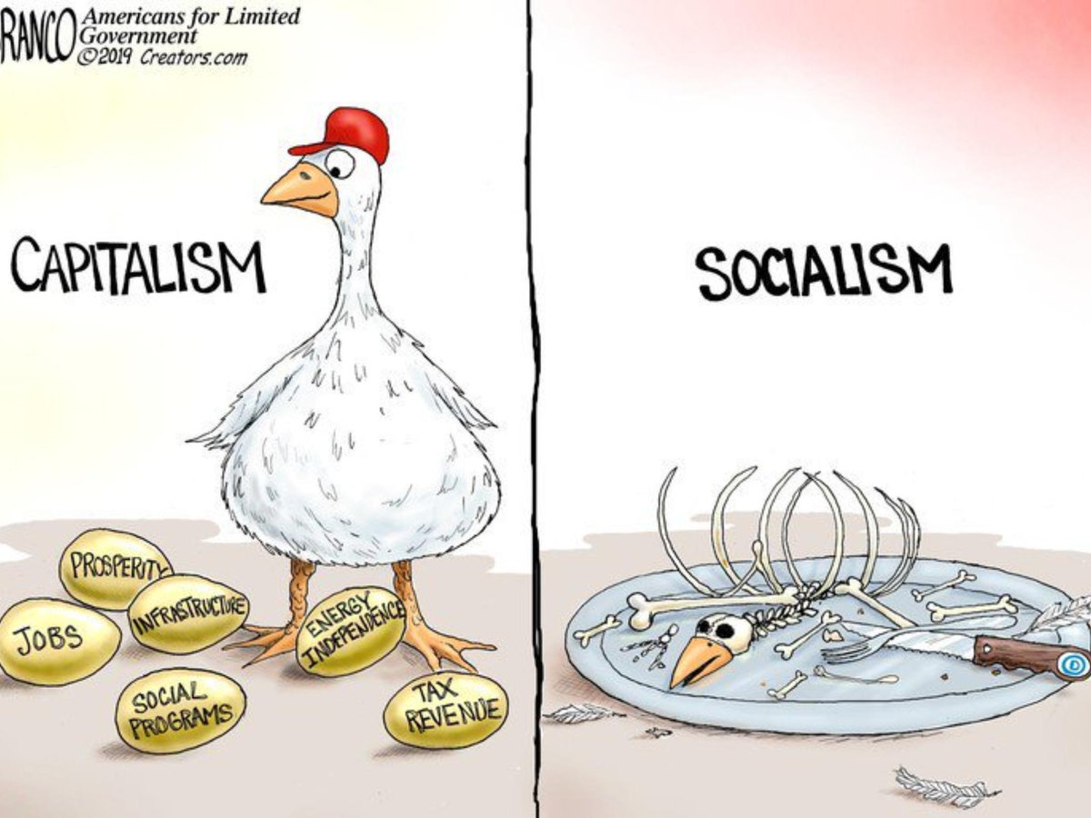 𝔅𝔦𝔰𝔥𝔬𝔭 ℜ𝔢𝔲𝔰𝔰 🩸 | 4%'er tweet media