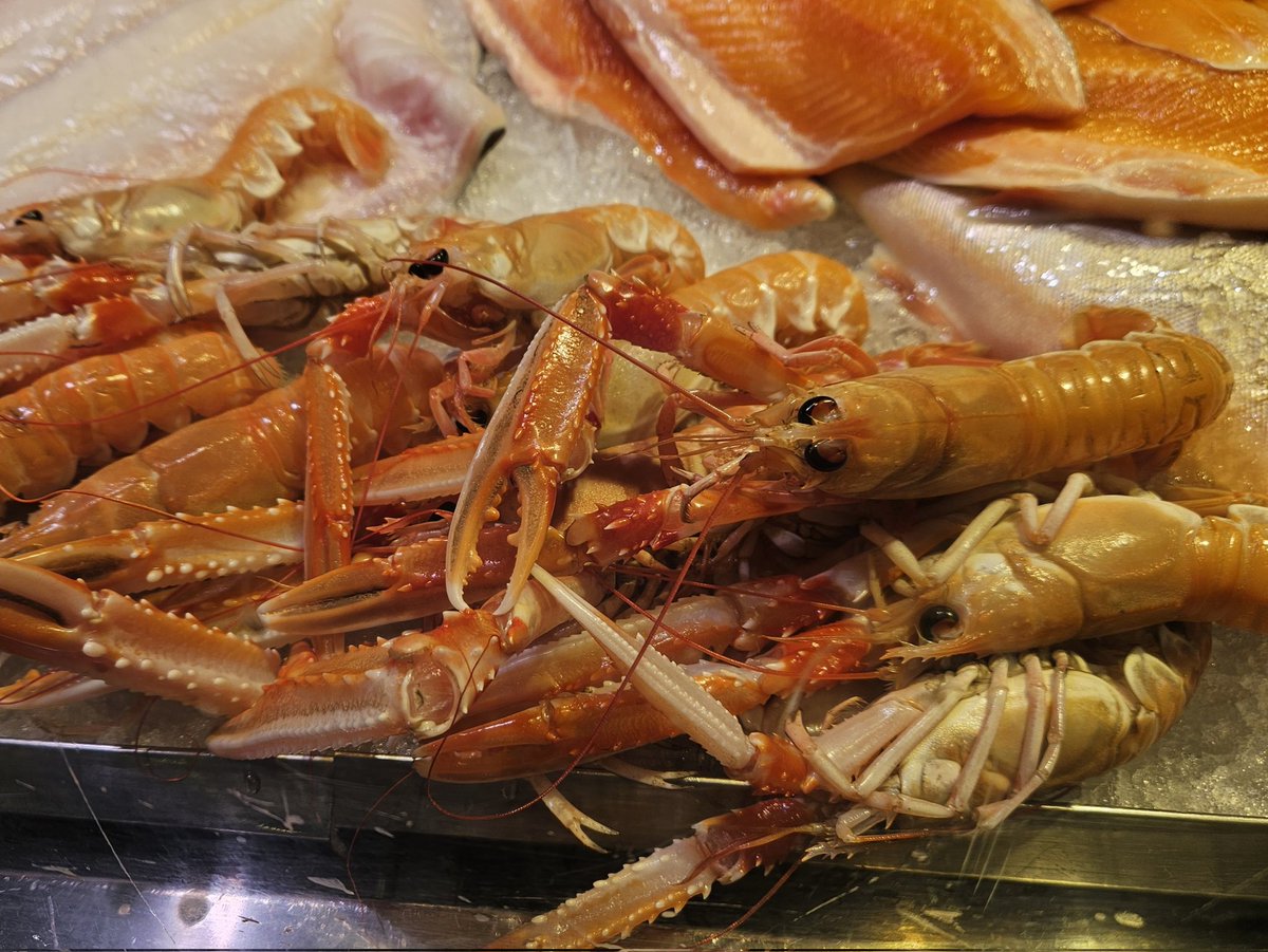 こばやしあやな tweet media