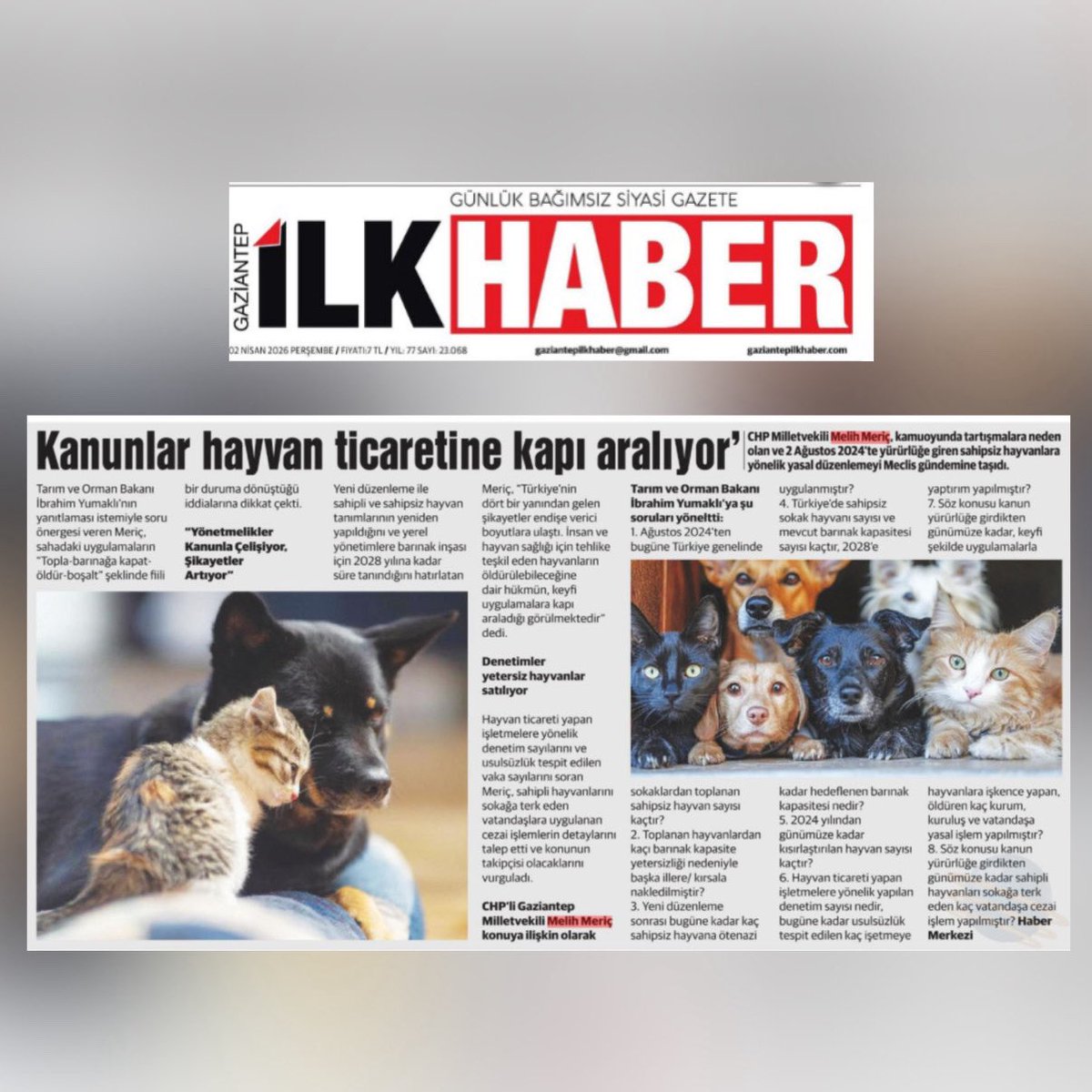 Melih Meriç tweet media