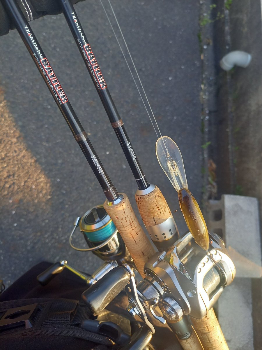 いちこ@ライダーハウス山陽 tweet media