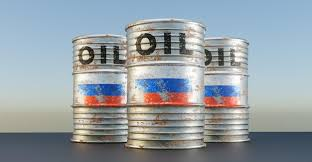 Turtle🐢 tweet media