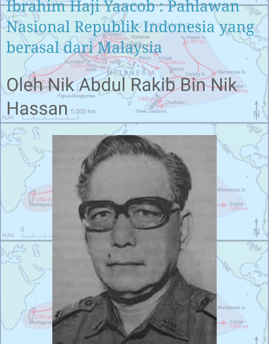 Your Daily Pepe tweet media