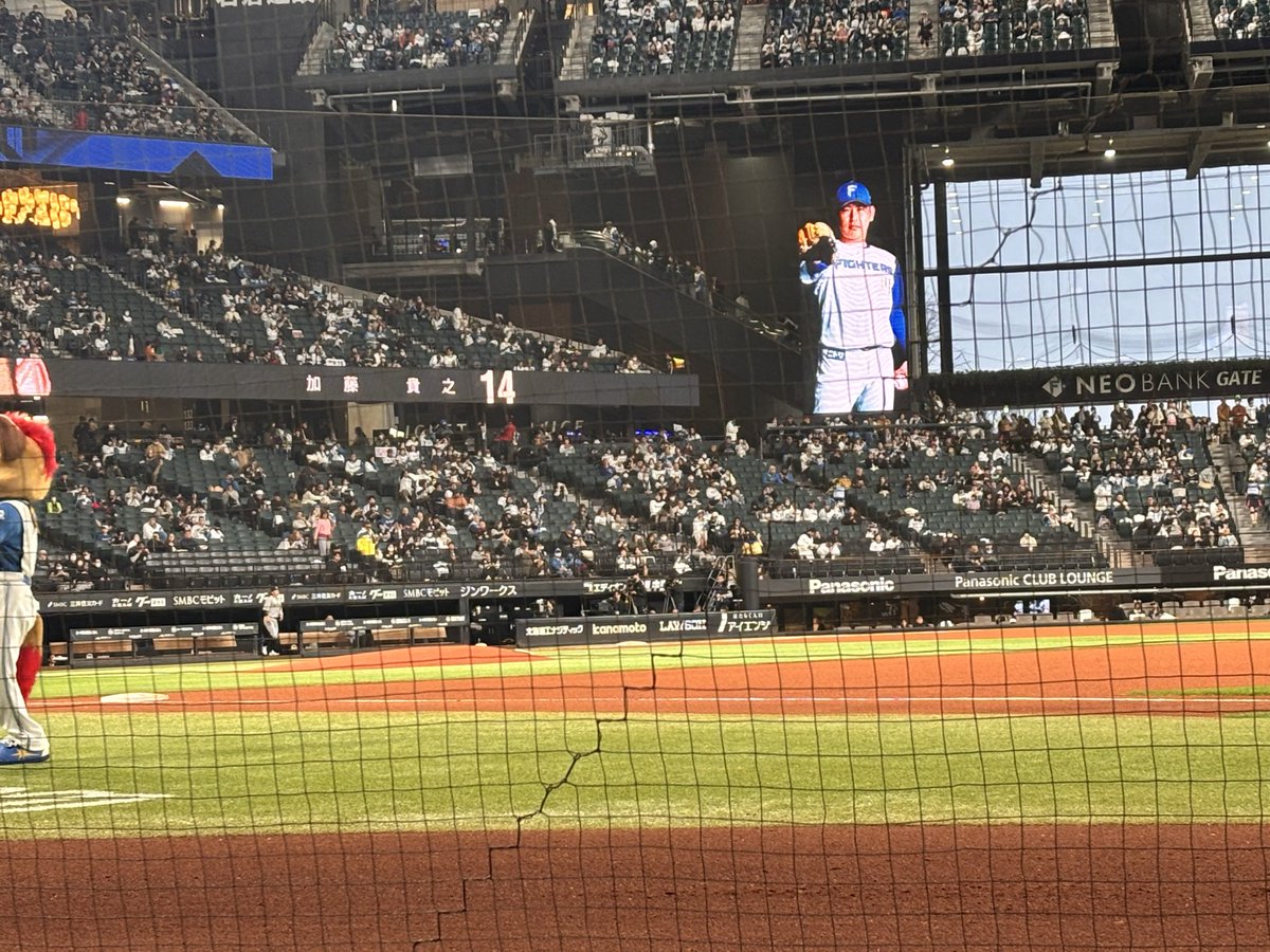 ななみ tweet media