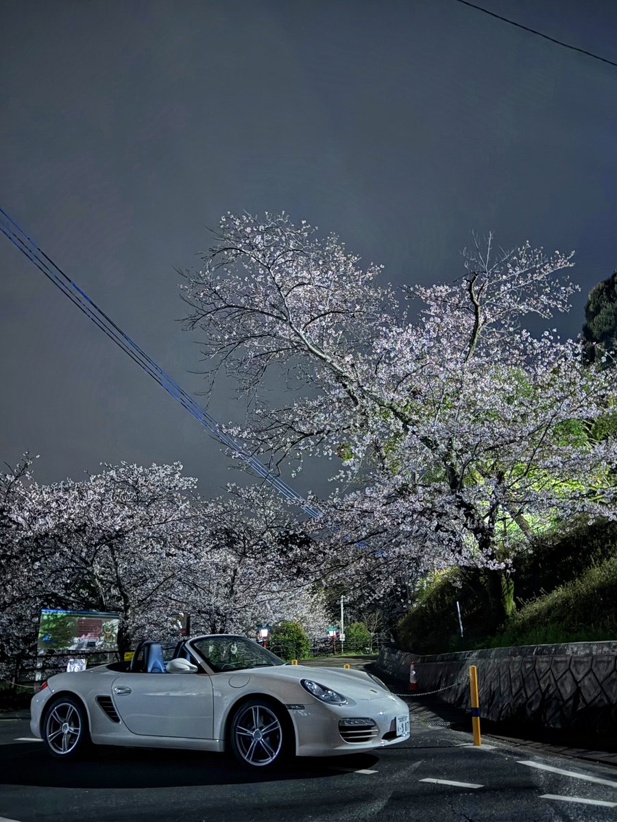 シュノ☯️暴れるましゅまろ tweet media