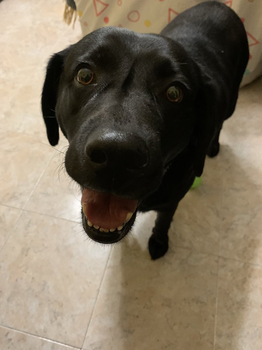 Vee 🦈 tweet media