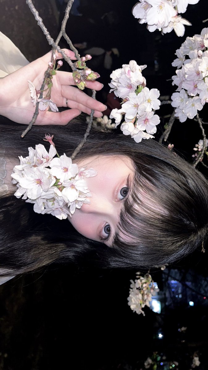 水鏡ひづめ tweet media