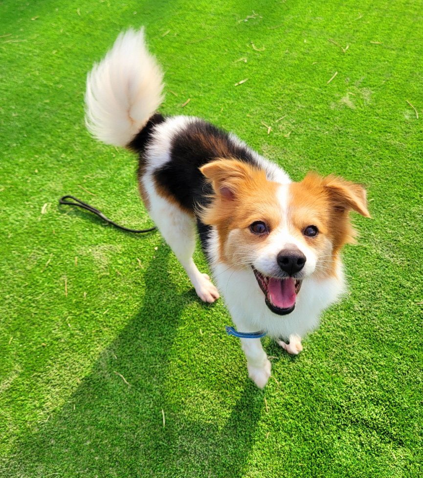 약밥이 tweet media