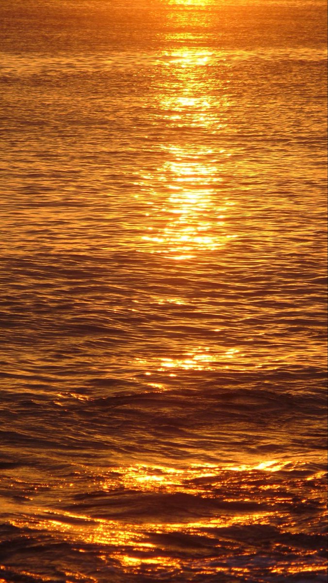 HeavenOnEarth tweet media