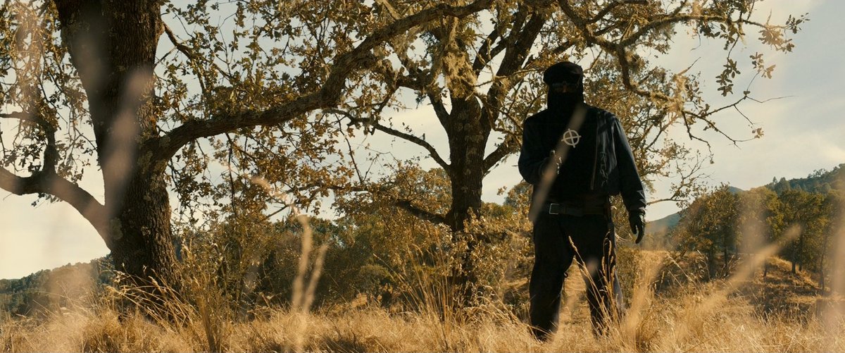 FilmFrame tweet media