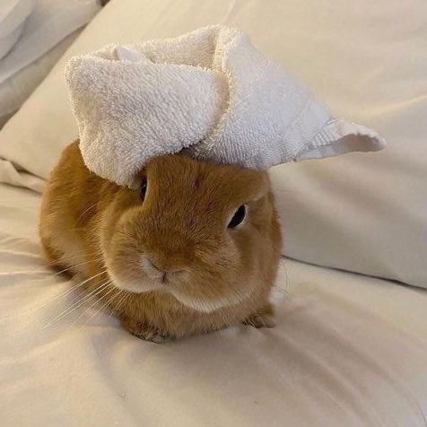 건끼 아카이브 tweet media