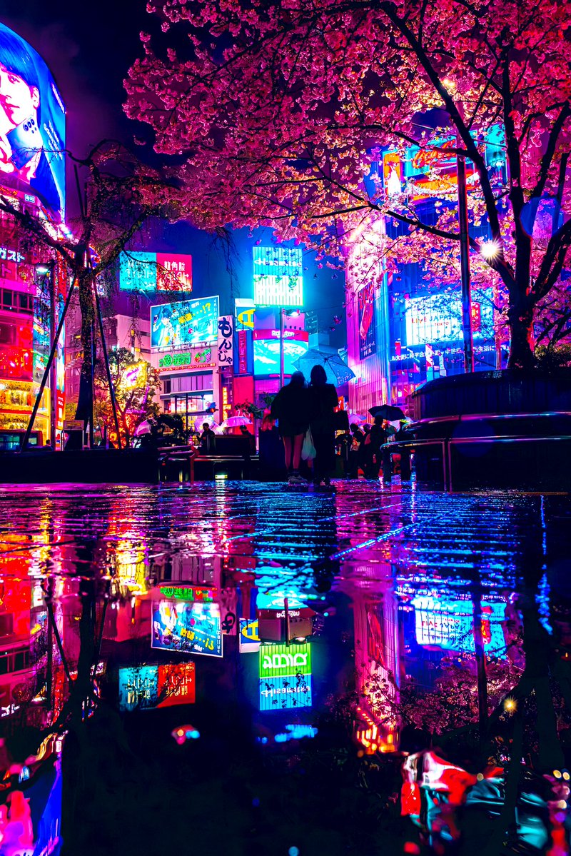 埼@Photographer tweet media