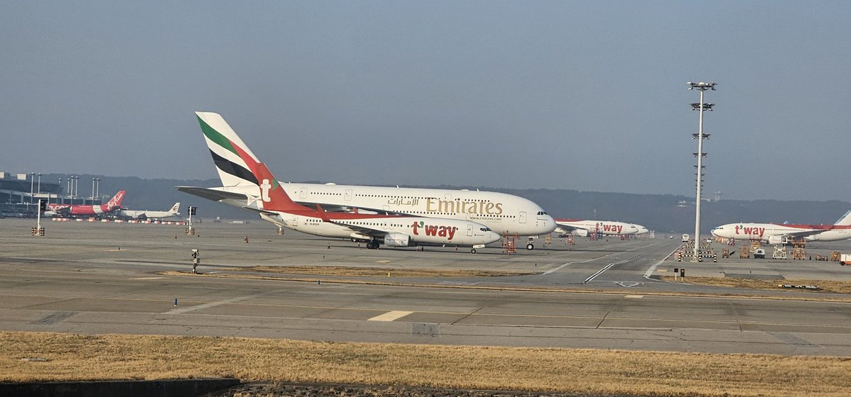 하롱부부 tweet media