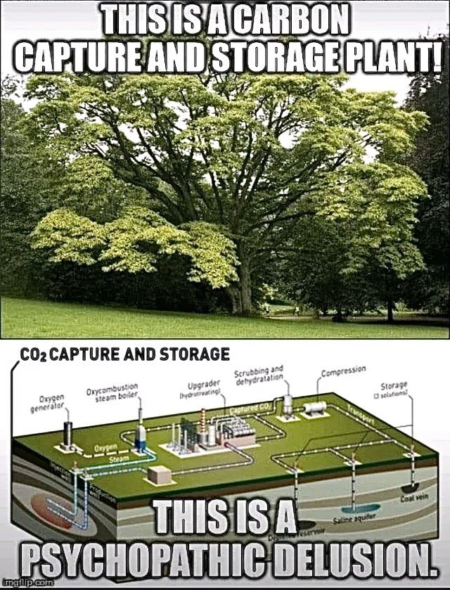 Steven Kerwin tweet media