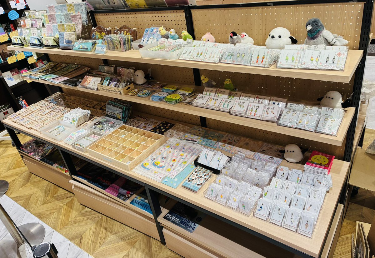 株式会社ことりカフェ【公式】鳥フェス広島4/4-5 tweet media