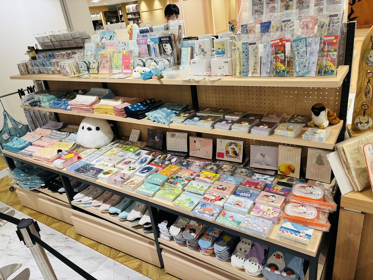 株式会社ことりカフェ【公式】鳥フェス広島4/4-5 tweet media