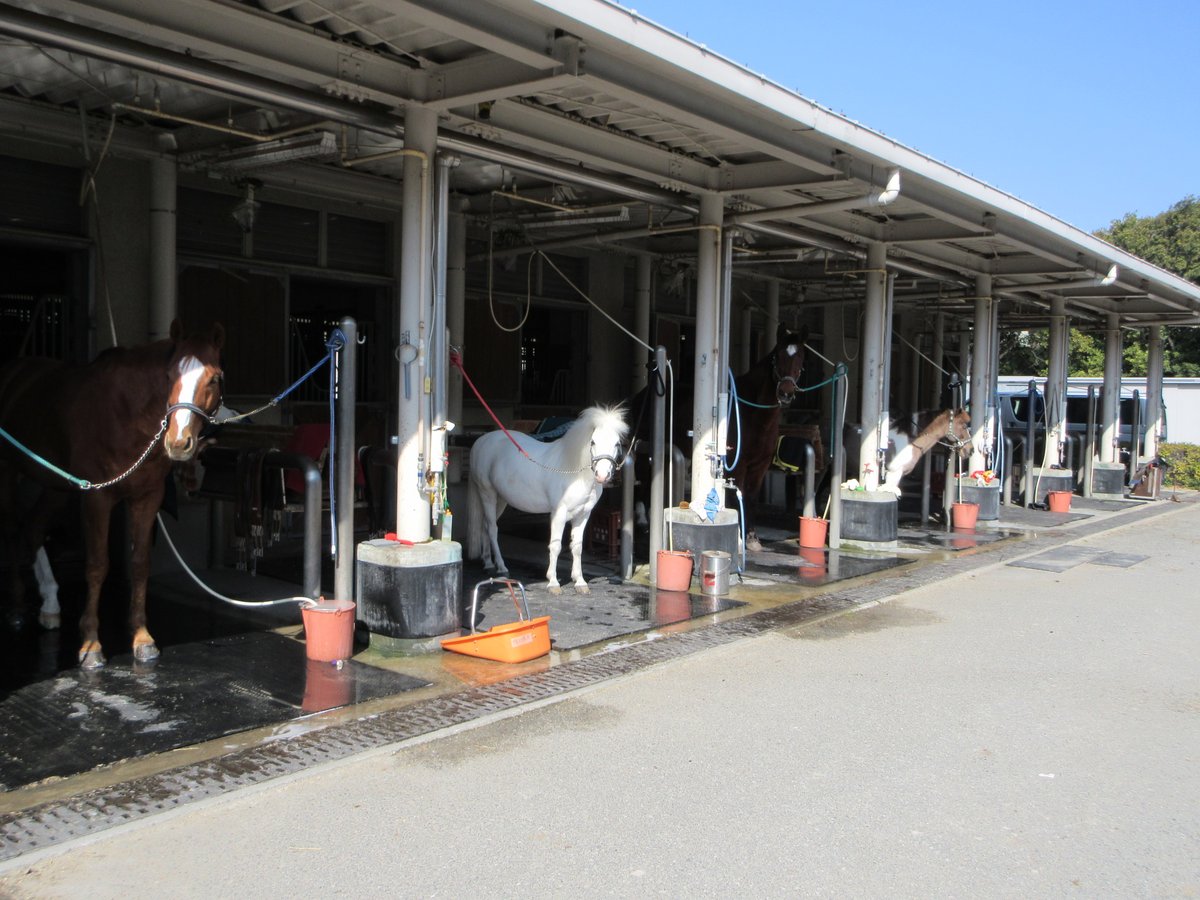 三木ホースランドパーク tweet media