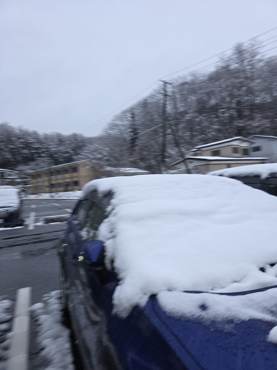 NICHI@趣味垢 tweet media