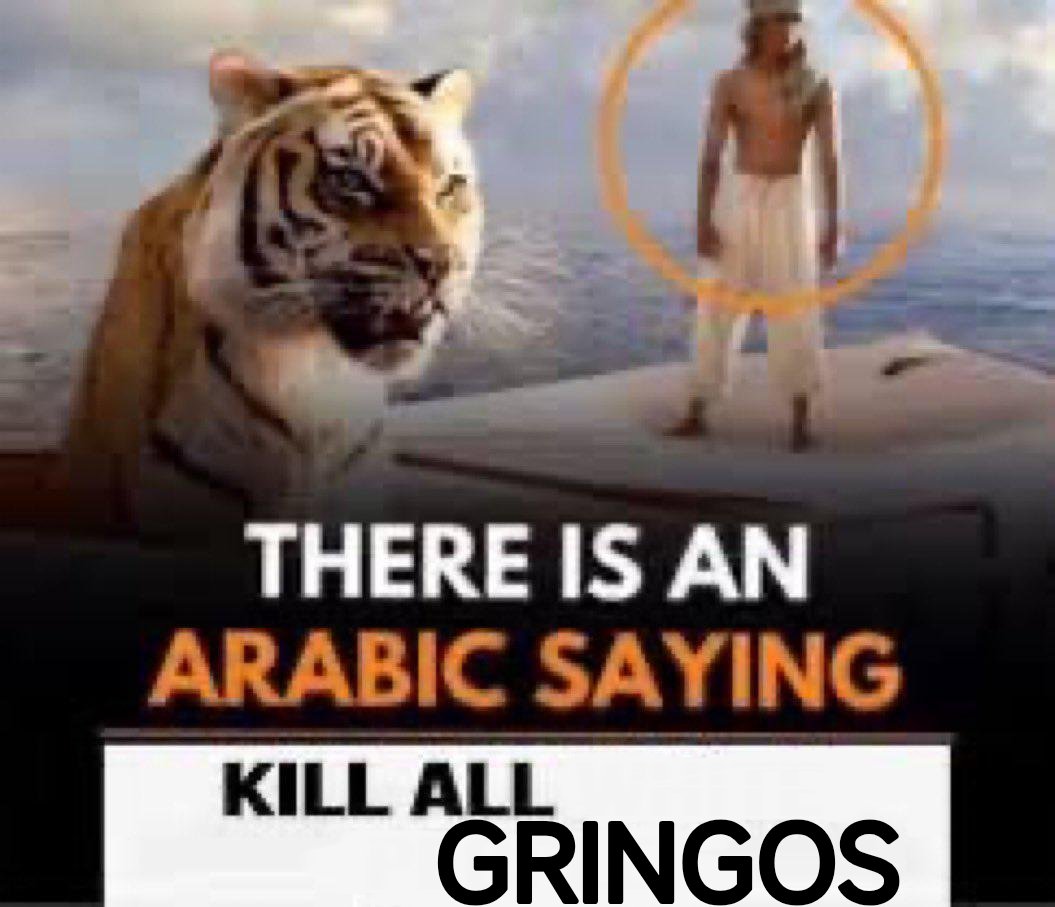 Lolomano2111 tweet media