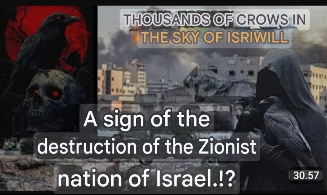 shay_tin's tweet photo. @drhossamsamy65 Nex : geme over isriwil https://t.co/rWmLz5ikiF
