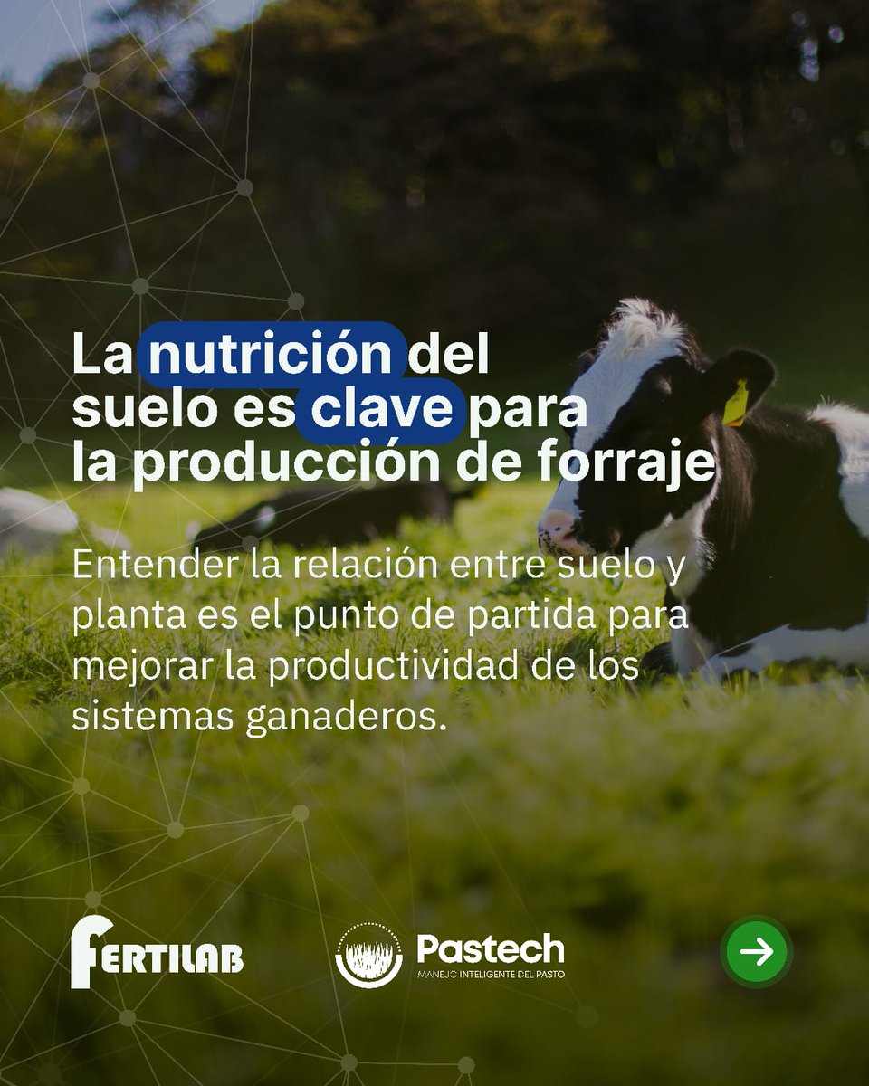 FertilabLab's tweet image. La producción de #forraje depende del estado nutricional del #suelo 📈

Junto a Pastech desarrollamos una nota técnica sobre análisis de suelo y fertilización para optimizar sistemas ganaderos 🌱🐄

Leé la nota acá👉 bit.ly/4v8gQiO
