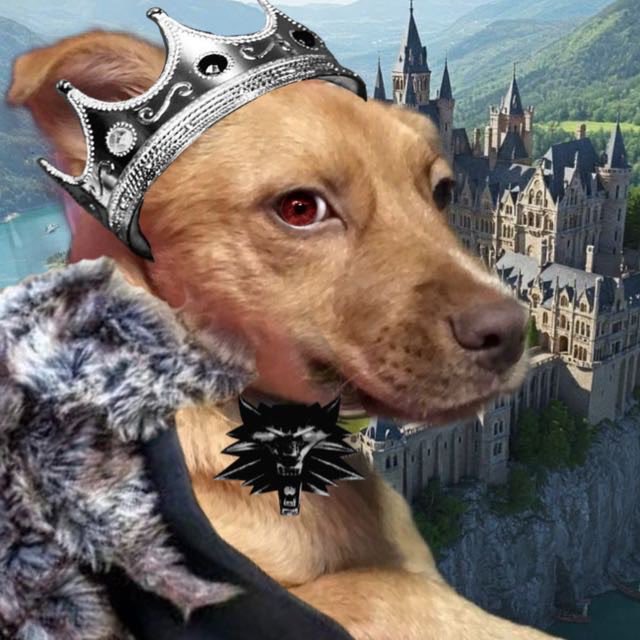 𝐎𝐎𝐂. 𝐓𝐡𝐞́𝐨 ♡ 𝐑𝐚𝐲 tweet media