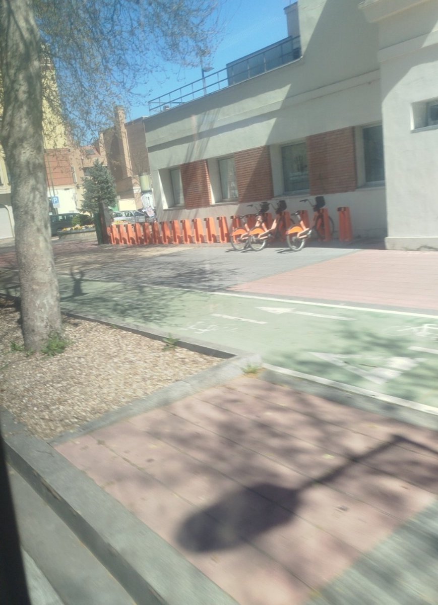 sergio🇵🇸 tweet media