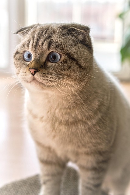 Marilyn Loyal tweet media