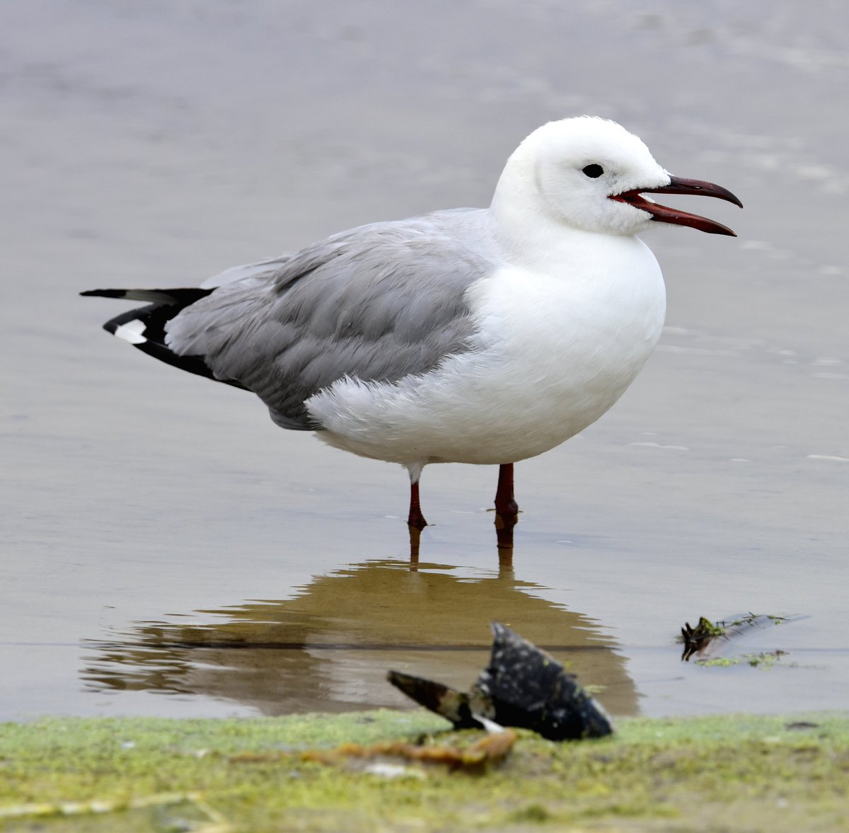 Man Camera tweet media