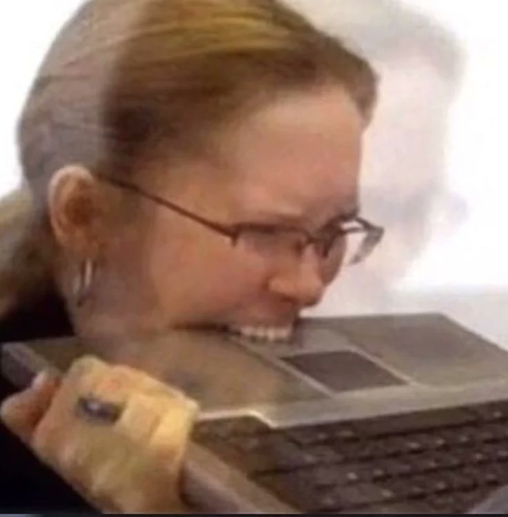 Avery Avi tweet media