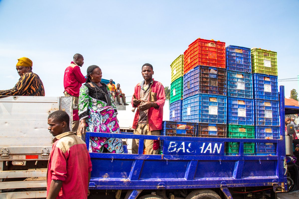 PROFEMMES TWESEHAMWE tweet media