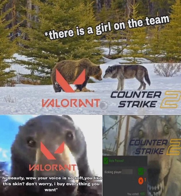 RealestMemes tweet media