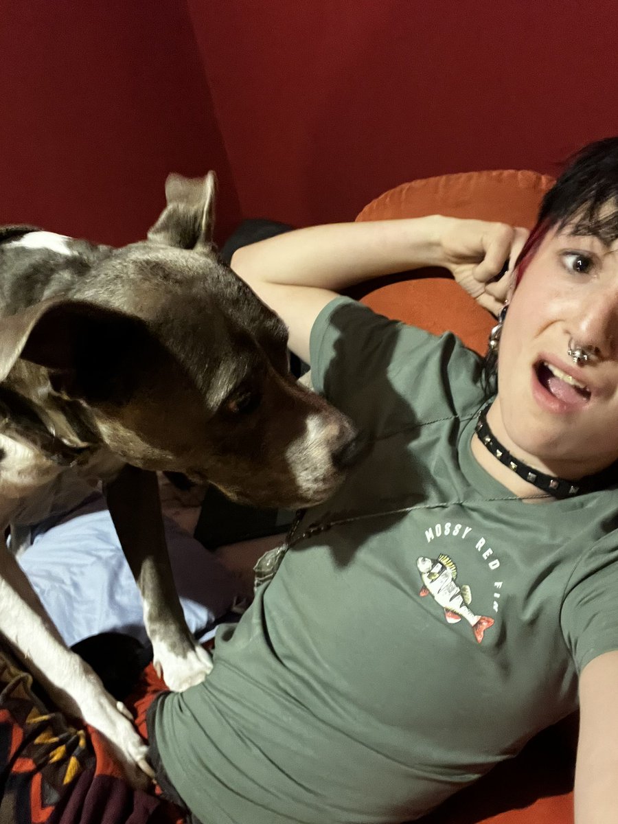 ꩜ fynnyard_bones ꩜ tweet media