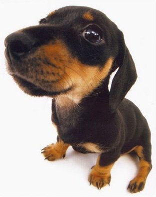 𝐙𝐢𝐮𝐥 tweet media