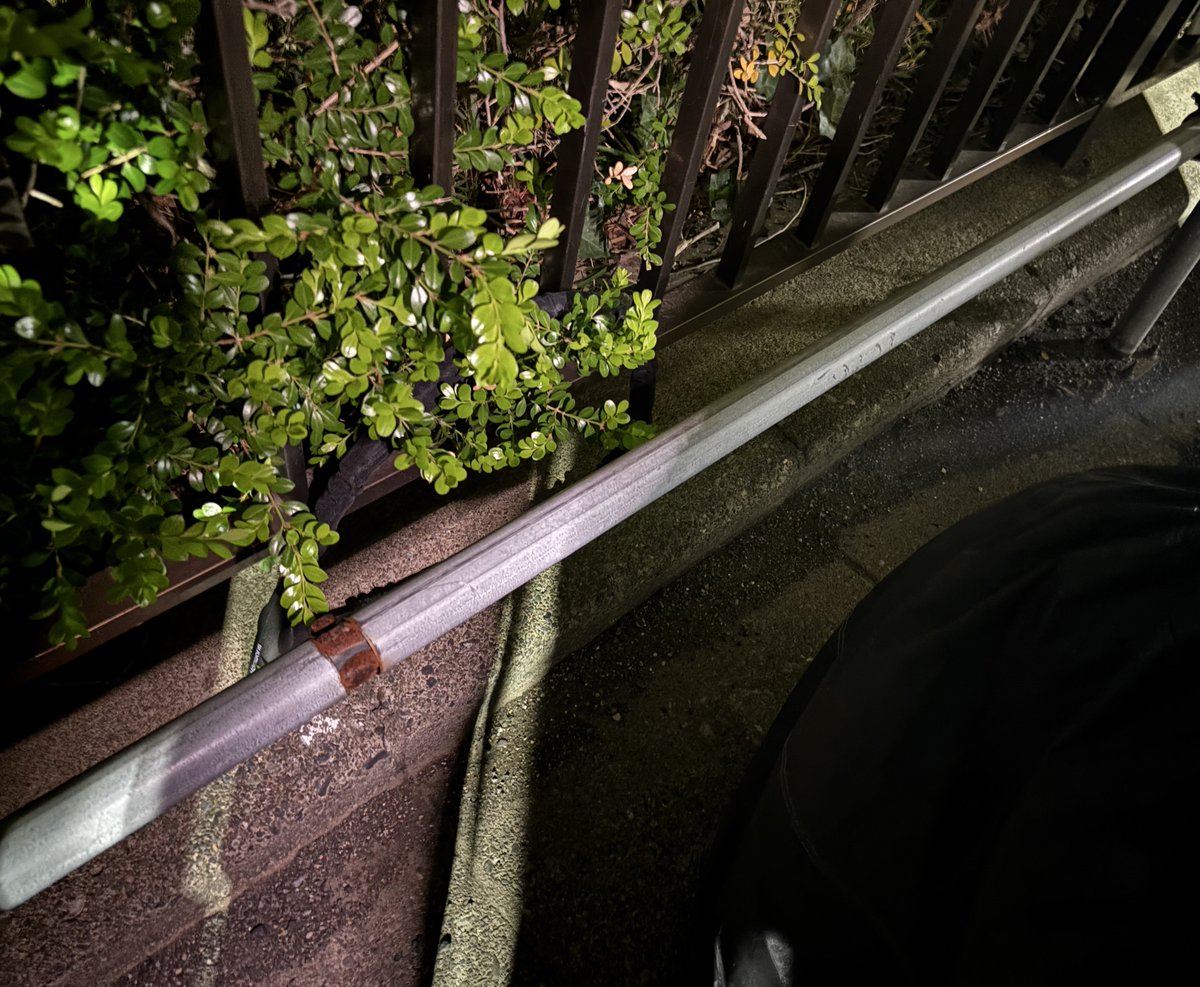 Noa(monika) tweet media