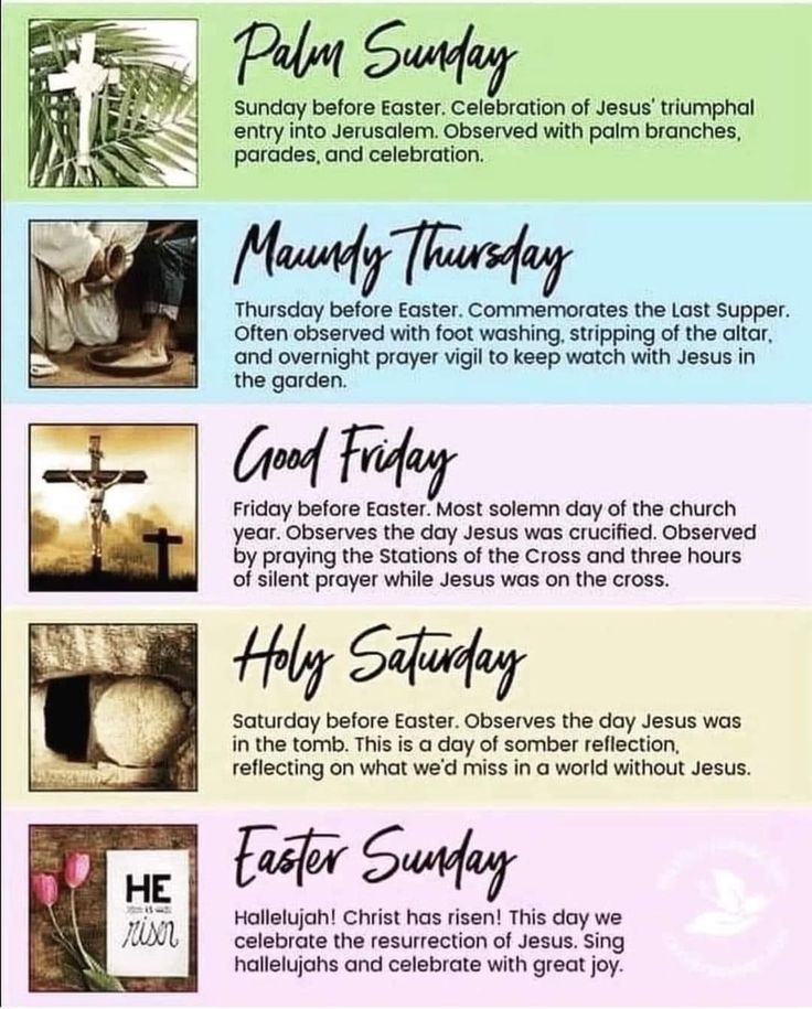 Life Truth Way tweet media