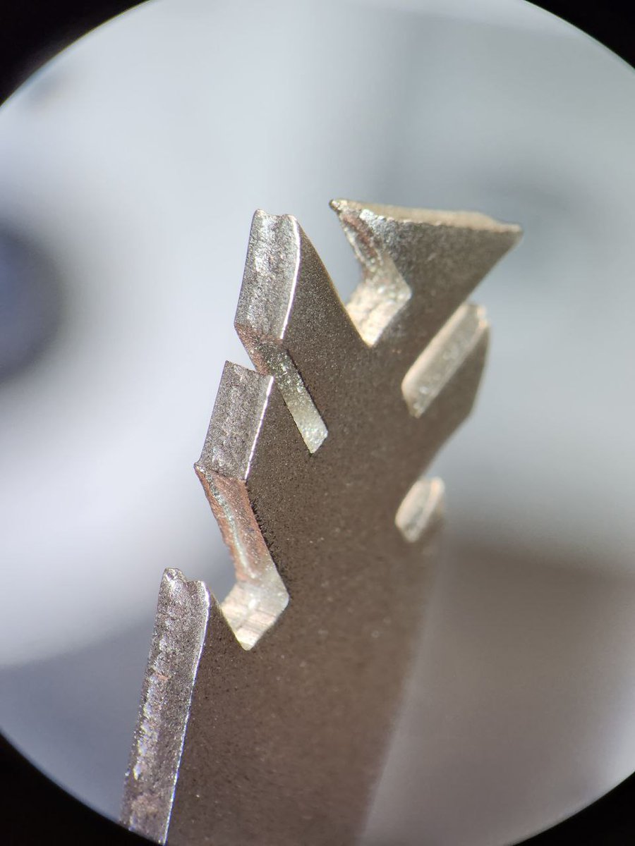 💎 Gem Caracal 💎 🇺🇲 tweet media