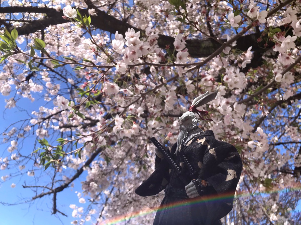 せつか tweet media