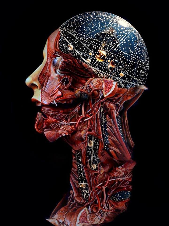 The Fourth Initiate tweet media