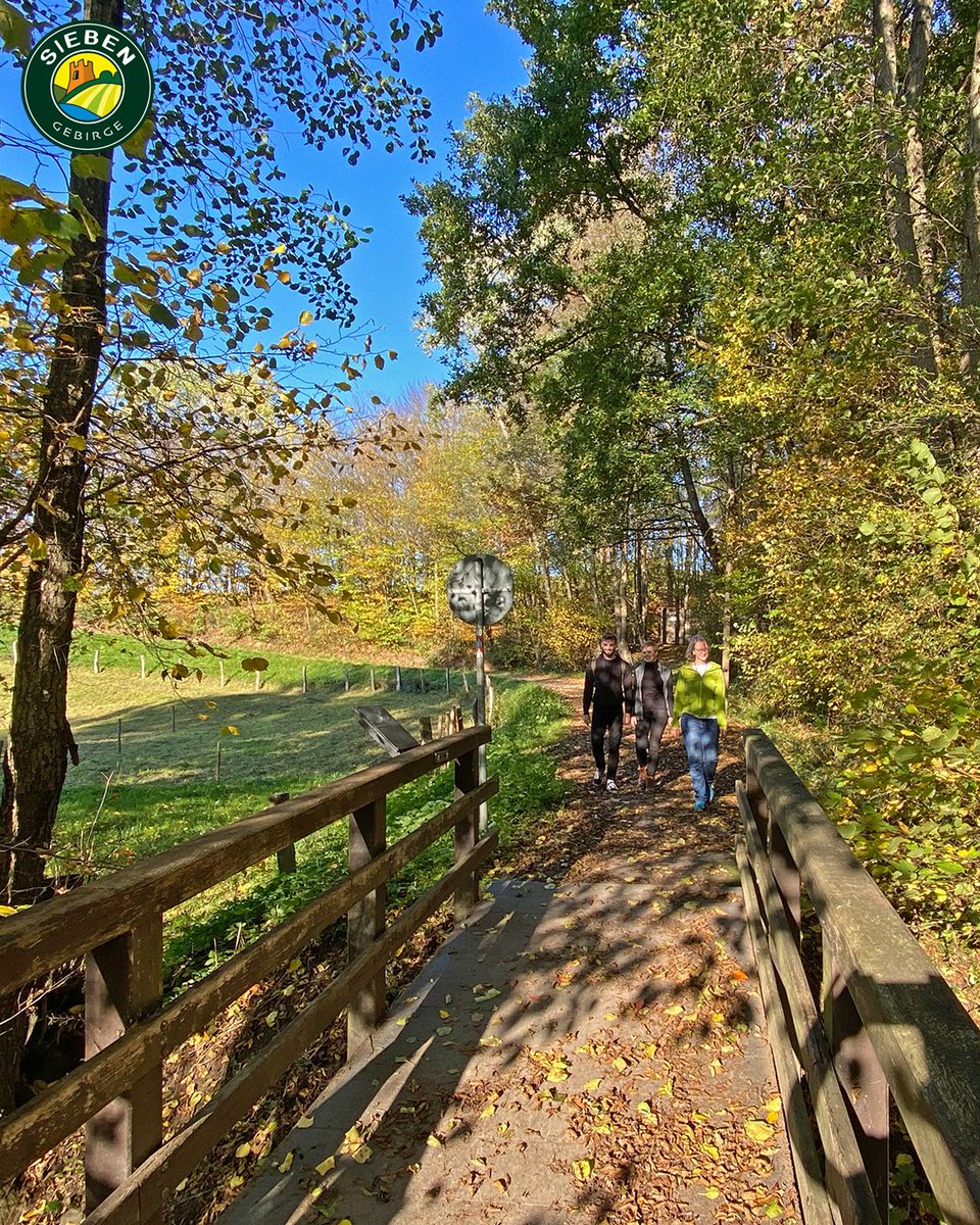 Das7Gebirge's tweet photo. Hallo liebe Wanderfreundinnen &amp; Wanderfreunde,

da die Osterfeiertage vor der Tür stehen, möchten wir auf unsere Vorschläge zu kleinen Wanderungen oder Spaziergängen hinweisen: https://t.co/vxrAuolUrL
.
.
#Wanderlust #Wanderland #Siebengebirge #Radfahren #Schifffahren @bonnregion https://t.co/783pOwDHZT