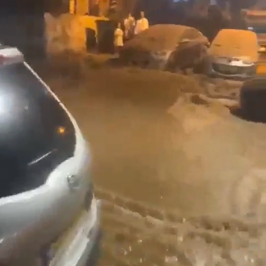 Normal Island News tweet media