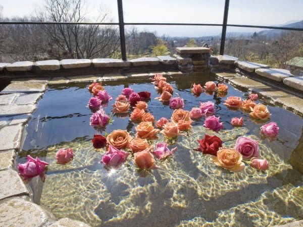 極上の旅図鑑 tweet media